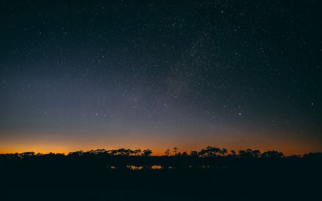 Black silhouettes of trees divide the bright orange horizon as it fades to a twilight blue, covered in hundreds of stars.