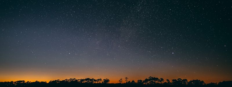 Dark trees outlined by orange sunset and star-covered twilight blue sky.