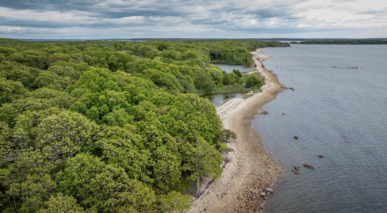 video showing a nature landscape in Everton in New York.