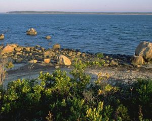 Mashomack Preserve on New York's Long Island.