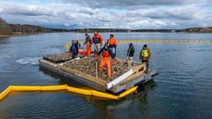 People wearing orange waders and a variety of warm-weather gear standing on a floating dock in the middle of a bay, on piles of oyster shell. There is a yellow buoy border marking off a section of the water around the floating platform.