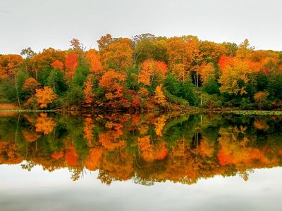 The orange, red and green autumn leaves of a stand of trees are reflected in the surface of a still body of water.