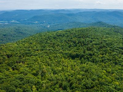 Aerial photo of rolling hills of bright green forests, with some developed patches in the distance.