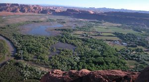 Aerial view of wetlands with red rock plateaus in the distance.