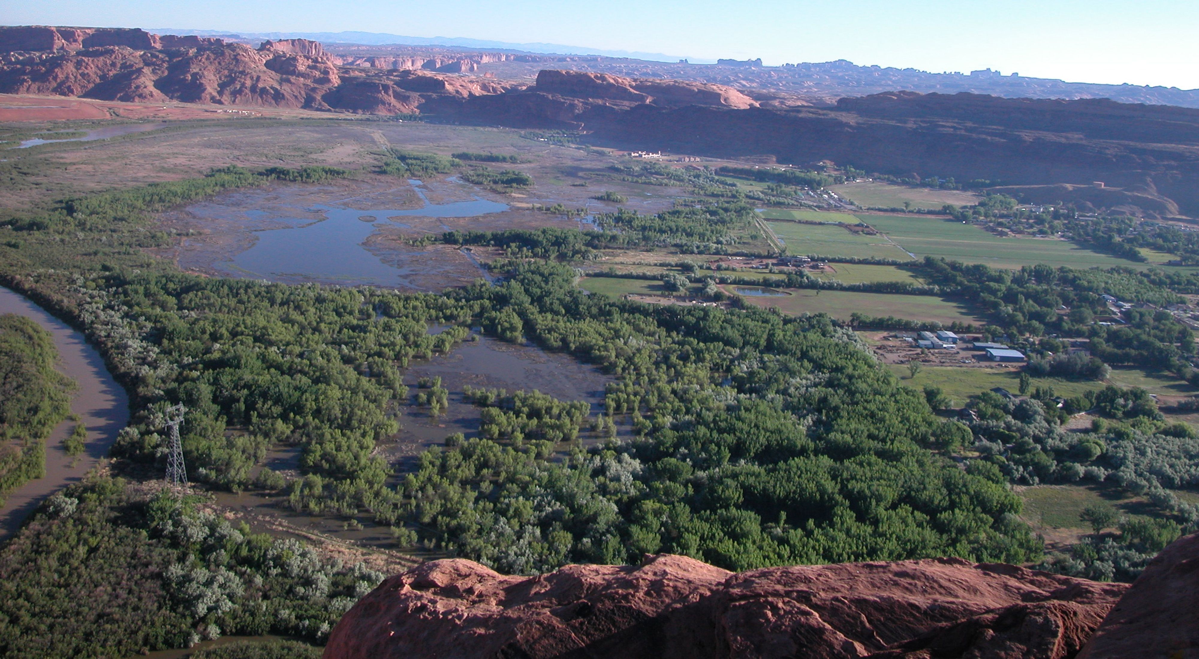 Aerial view of wetlands with red rock plateaus in the distance.