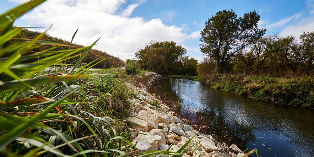 A restored stream bank made of rocks and plants sits above a stream.