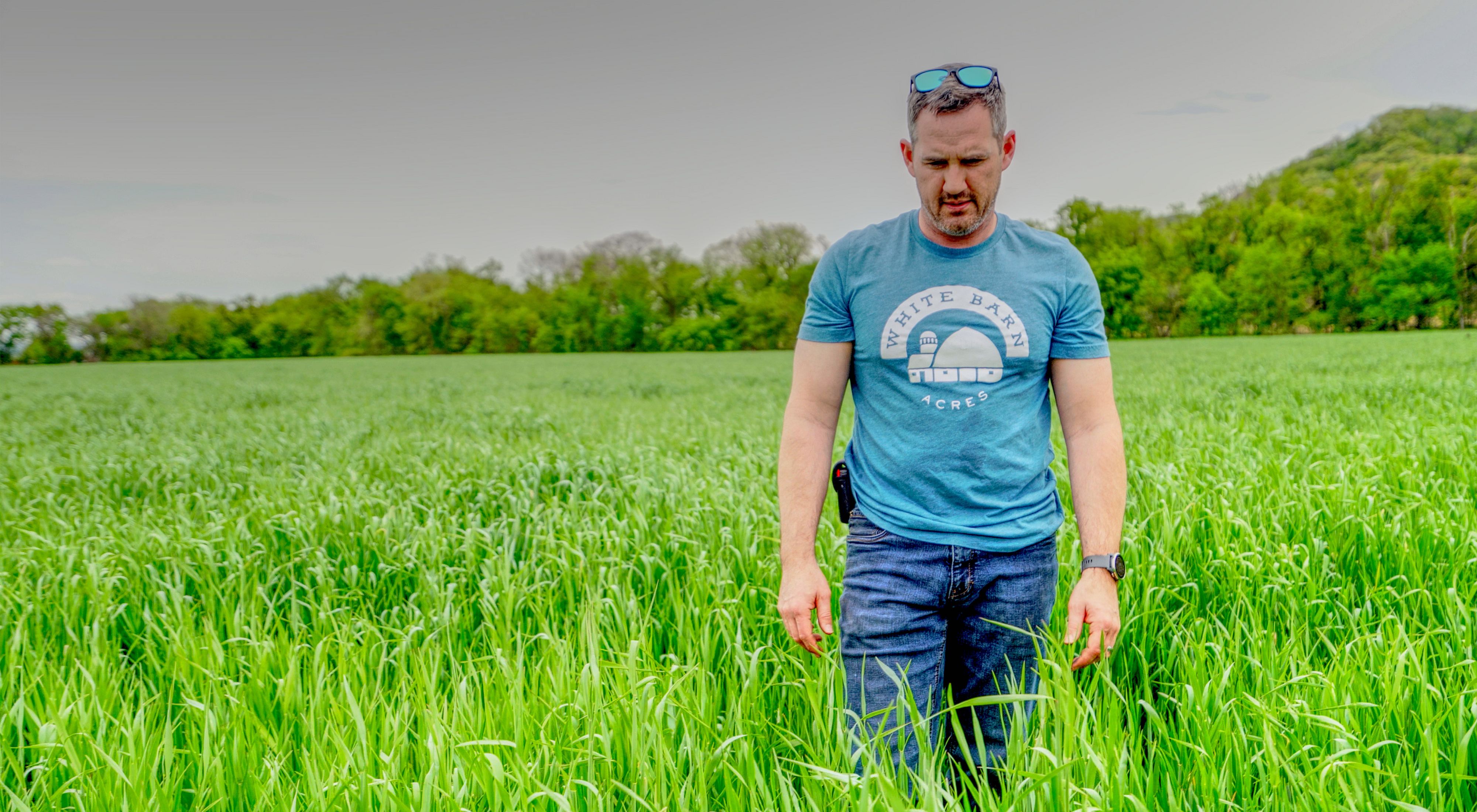 Matt Tentis standing in a field of cover crops wearing a t-shirt that reads White Barn Acres.