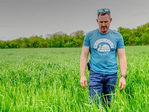 Matt Tentis standing in a field of cover crops.