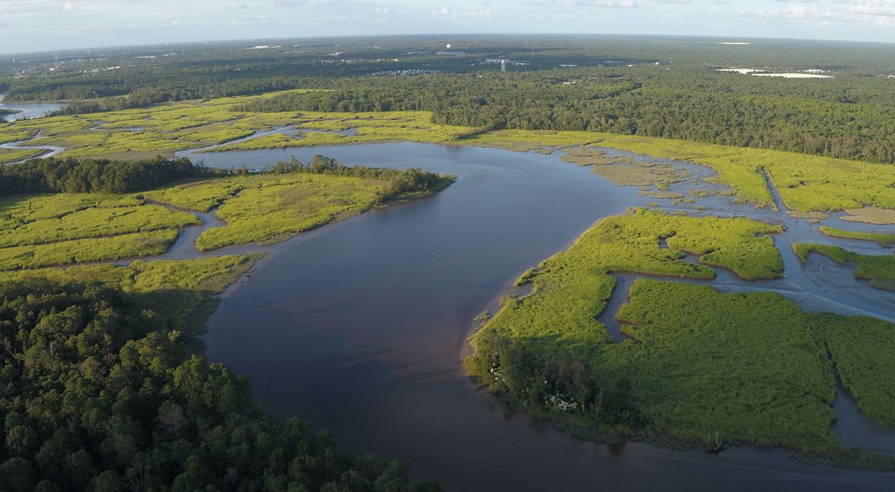 Aerial view of a stream and wetlands at Maurice River Bluffs Preserve.
