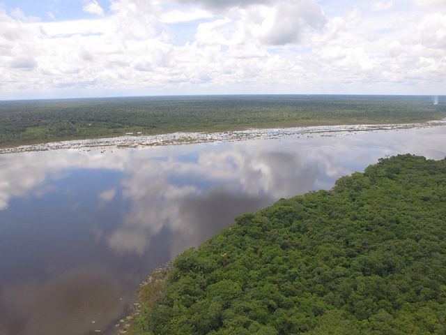 Maya Forest, Mexico
