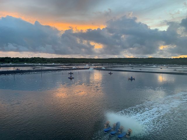 A shrimp farm at sunset.
