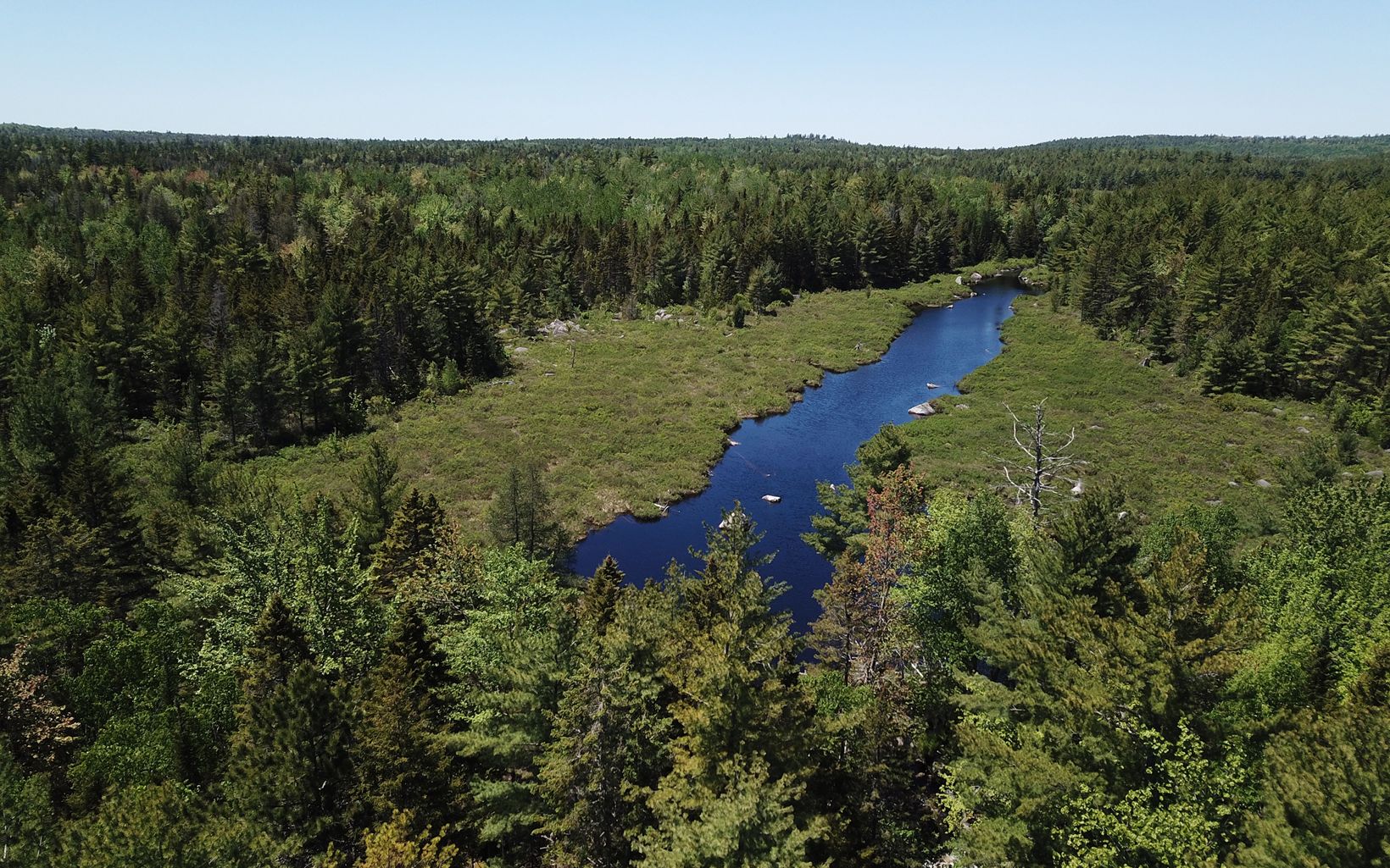 aerial view of stream and wetlands surrounded by forest