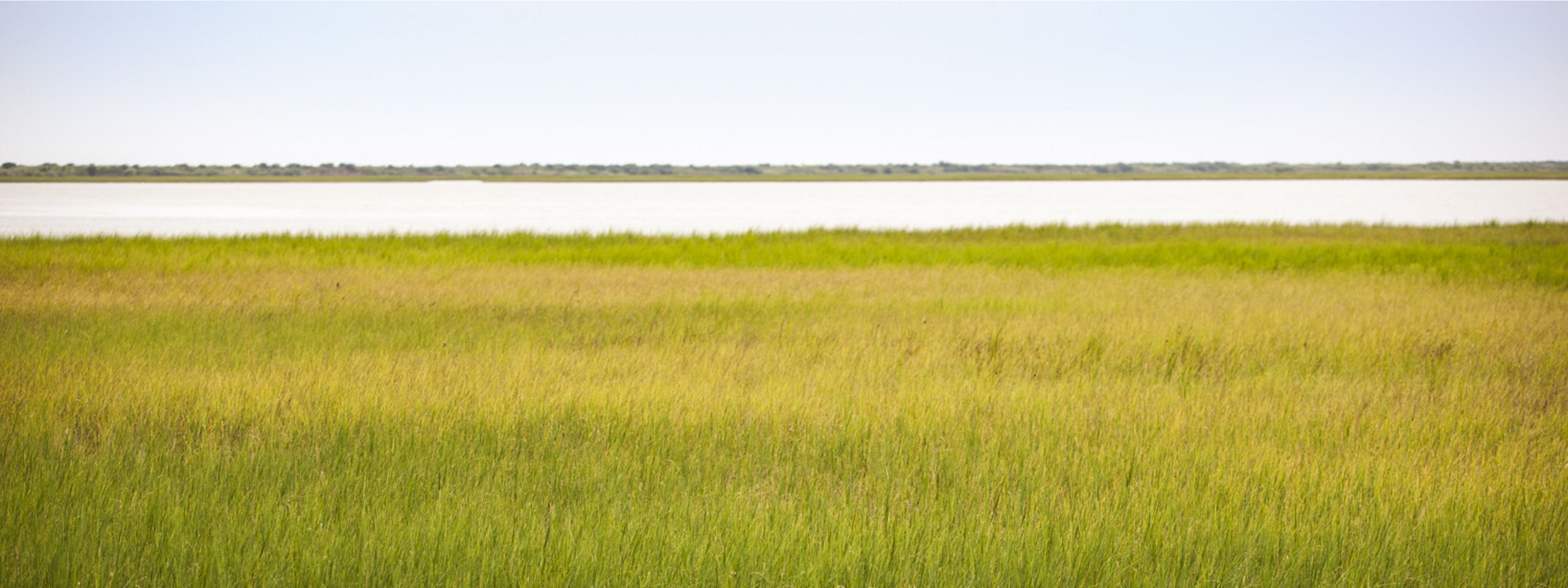 An expanse of green marsh and coastal waters.