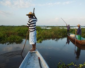 Local fishermen navigate through the Marshland of Barbacoas in the mouth of the Magdalena River Basin in Antioquia, Colombia. The marshland of Barbacoas contains great natural diversity but is currently under threat by rampant cattle farms and local fisherman and has seen a decline of the native fish that travel from the Marshland up-stream along the Magdalena River. The Nature Conservancy and other organizations are helping locals preserve the natural diversity of the marshland and transform it into an official natural sanctuary.