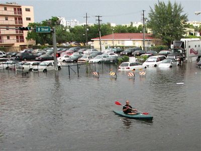 Low-lying coastal cities like Miami can reduce the impacts of rising sea levels and severe weather by investing in green infrastructure.