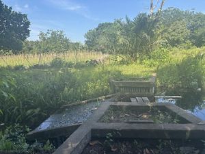 Concrete structures blocks water to a canal in a restored peatland in Indonesia.