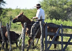 Man with a hat on horseback behind a wood fence.