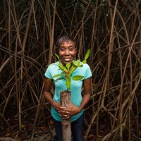Nealla Frederick, TNC's Eastern Caribbean Conservation Planner, holds a young red mangrove shoot during a mangrove restoration project.