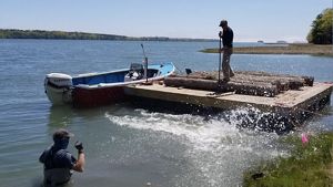 A man stands on a barge with logs on it.