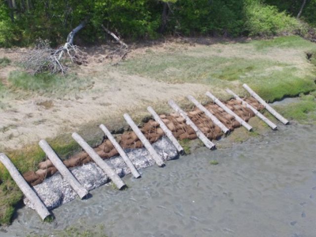Aerial view of a living shoreline project with logs and bags of oyster shell set into a bank.