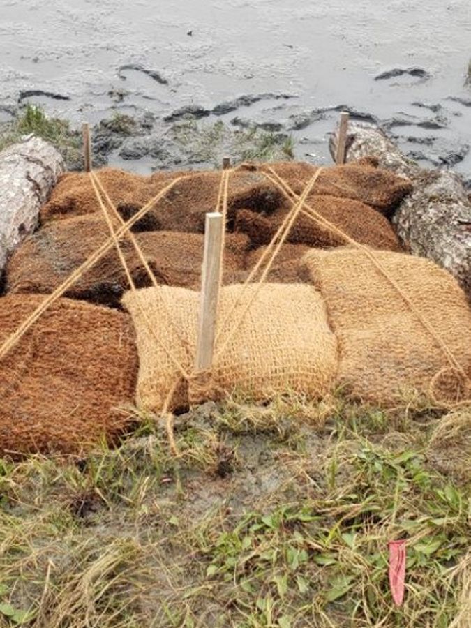 Fiber bags filled with shell tied down under logs.