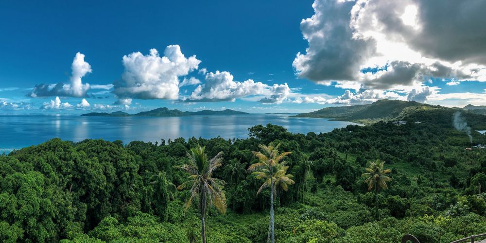expansive view of green islands rising up out of blue ocean with palm trees in foreground