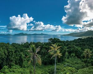 View looking out across a vast body of water bordered by a forested ridgeline.