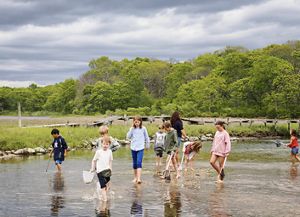 A group of people walking barefoot in a marsh. 