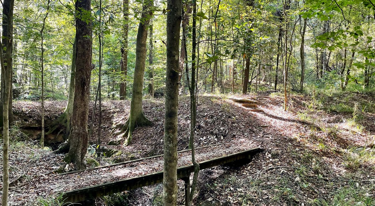A small wooden bridge crosses a small dip in a hiking trail.