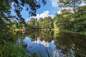 A wooden gazebo can be seen across a clear, calm lake surrounded by forest.