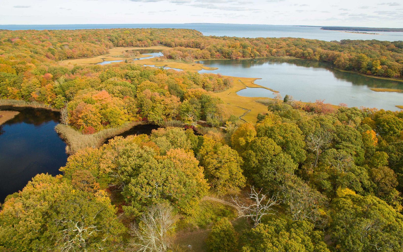Aerial view of trees in fall color along the shore of several small ponds or lagoons with a broader shoreline in the distance.