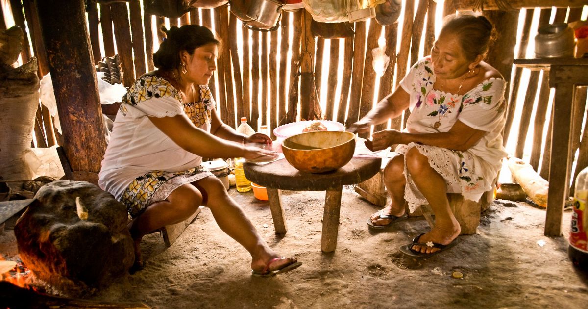Foraging Maya How We're Saving the Maya Forest in Mexico | TNC