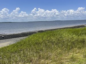 Bright green grass flanks a gray concrete wall, protecting the sand from the ocean.