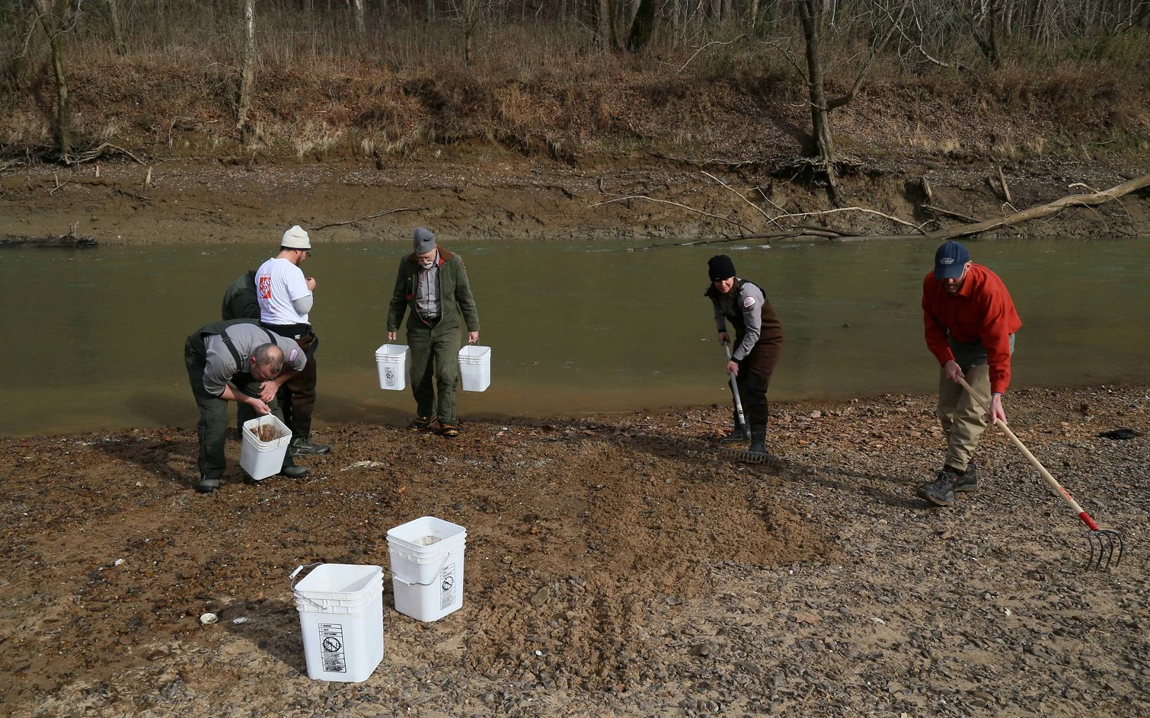 Volunteers carry buckets along a river shoreline.