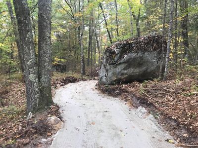 Un camino amplio y accesible serpentea entre los bosques.