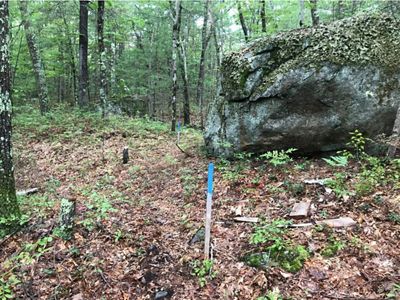 A traditional hiking trail through woods.