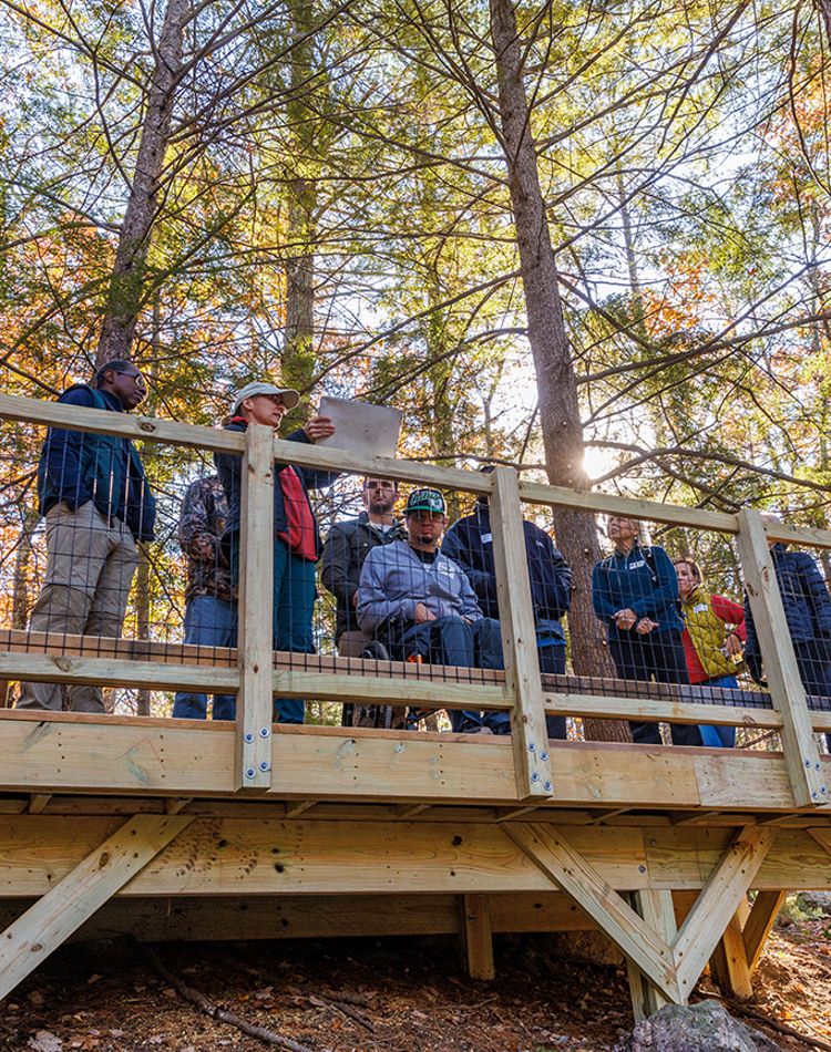 A group of people on an observation platform in woods.