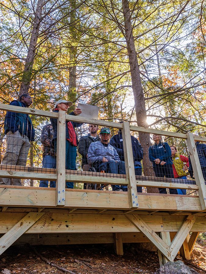 A group of people on an observation platform in woods.