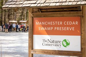 A kiosk sign that says Manchester Cedar Swamp Preserve with the logo of The Nature Conservancy.