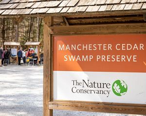 A preserve sign that reads Manchester Cedar Swamp Preserve and displays The Nature Conservancy logo.