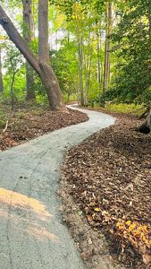 A paved trail winds through a lush forest.