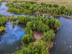 Aerial view of a river curving through stands of cottonwood trees.