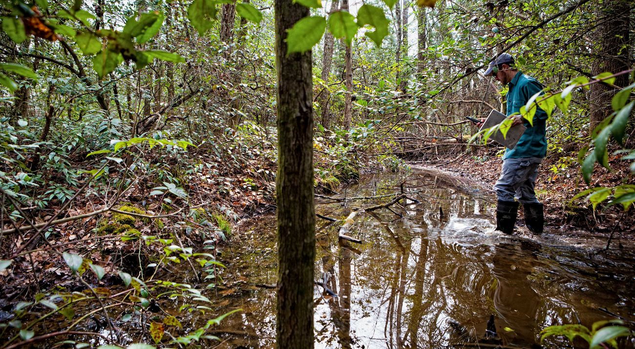 A scientist surveying a mountain bog.