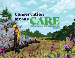 The cover of the strategic plan showing an illustration of two firefighters setting a controlled burn in a meadow.