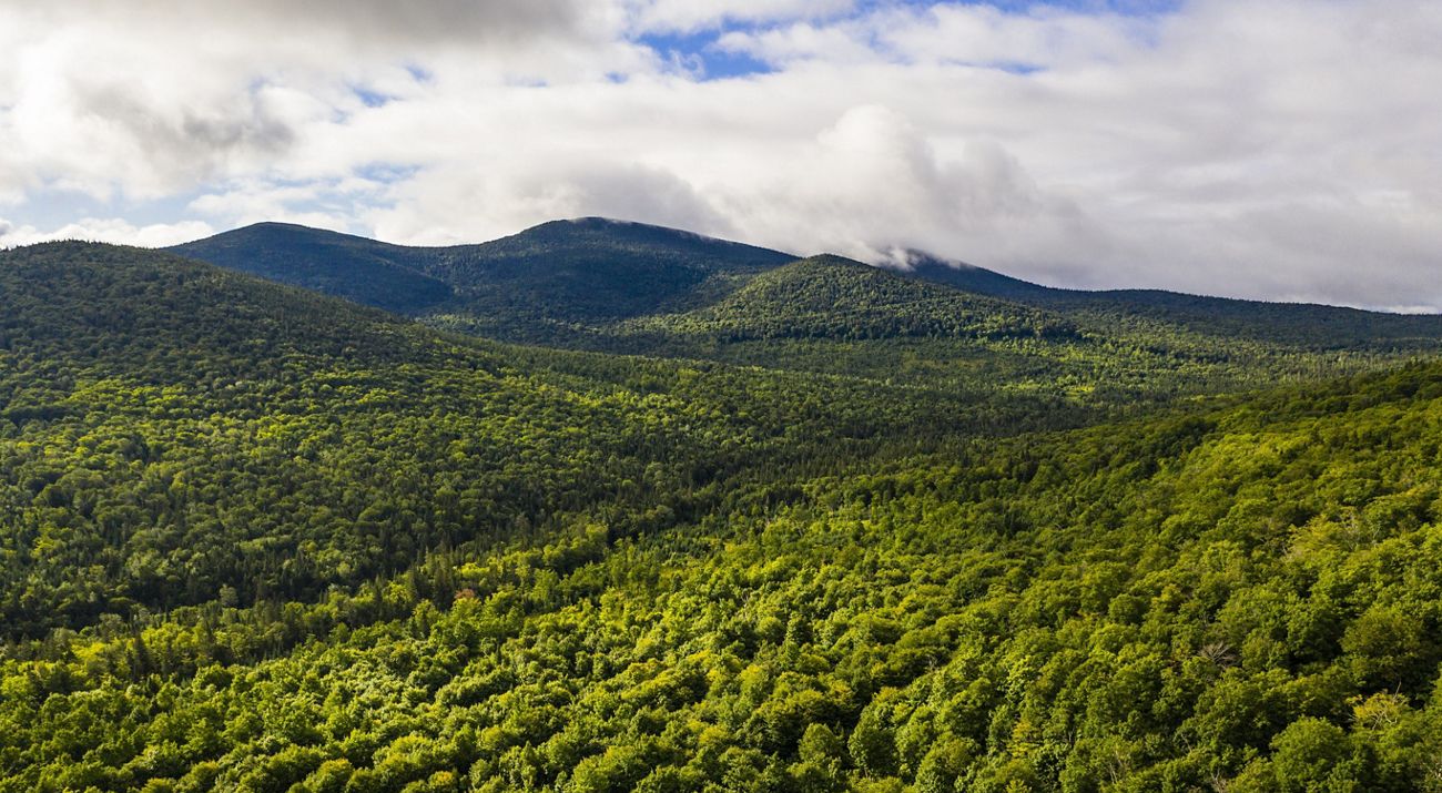A vast green forest leads to tree-covered mountains in the distance.