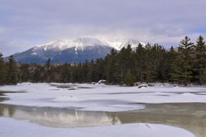 Snow-capped mountain disappears into the clouds against a gray sky; foreground is a mix of ice and snow ringed by dark green pines.
