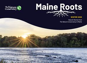 A logo for Maine Roots is displayed above an image of sunrise on a river; surrounding text reads "Winter 2025, News & Stories from The Nature Conservancy in Maine"