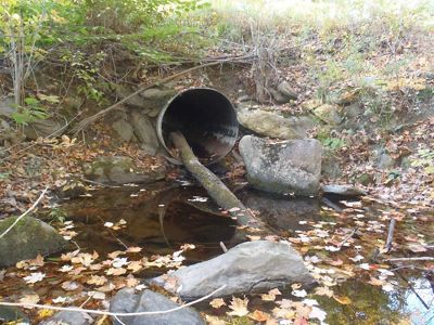 Close up of a ditch with an undersized culvert, covered in fall leaves