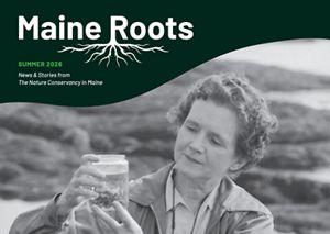 A logo for Maine Roots is displayed above a black and white image of Rachel Carson holding scientific equipment. 