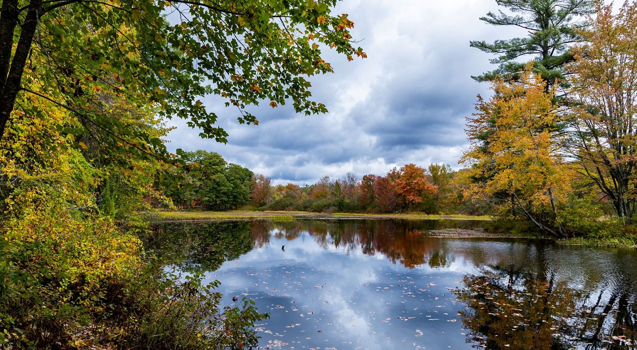 Trees with yellow, orange, and red leaves surround a lake; their colors are reflected on its surface. A bright but cloudy sky is reflected as well.